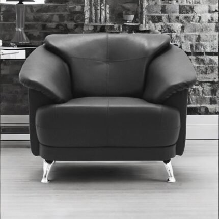single sitting sofa, single sofa chair for living room